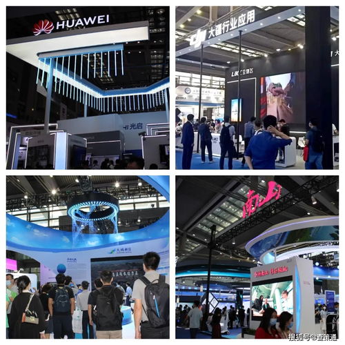 查策网聚焦全场，惊艳亮相第22届高交会 科技中介服务助力创新生态